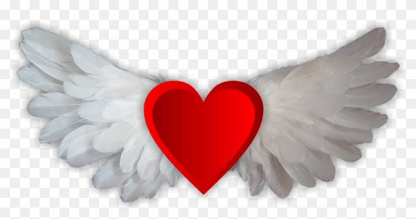 Love Love Wings Heart Png Image - Love Wings Clipart