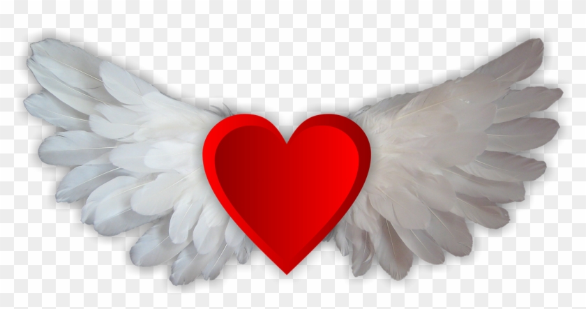Love Love Wings Heart Png Image - Love Wings Clipart #3774360