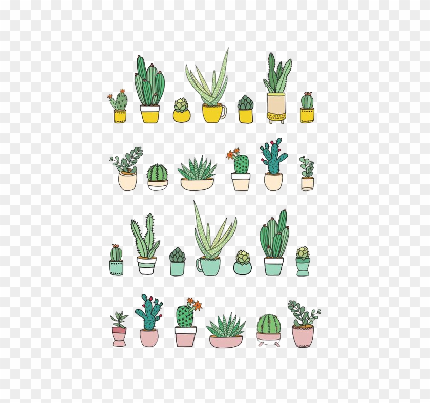 Material Que Utilizei No Meu Bullet Journal Março - Draw Succulents Clipart #3775049