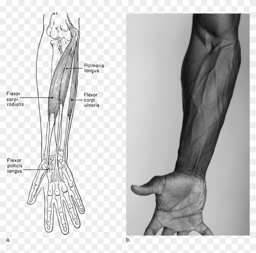 Image Not Available - Drawing Clipart #3776609