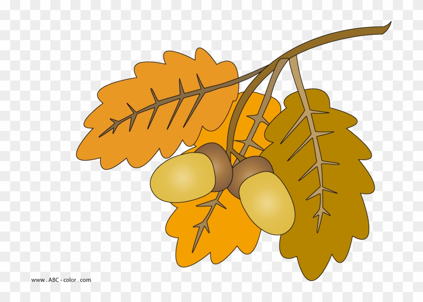 Clip Free Library Oak Leaves Raster Painting End Download - Желудь Рисунок Png Transparent Png