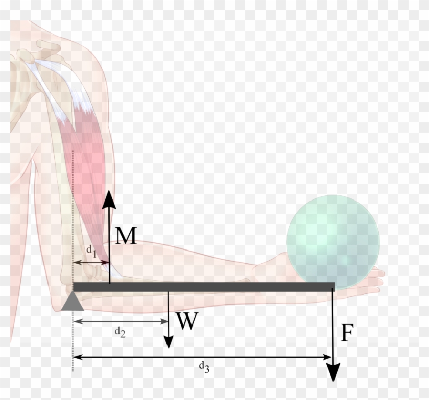 1) Using The Numerical Values Stated In The Problem - Monoplane Clipart