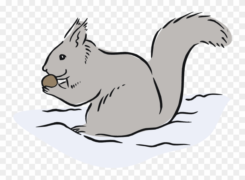 Squirrel Black And White Free Squirrel Clipart - Eastern Gray Squirrel Clipart - Png Download #3777007