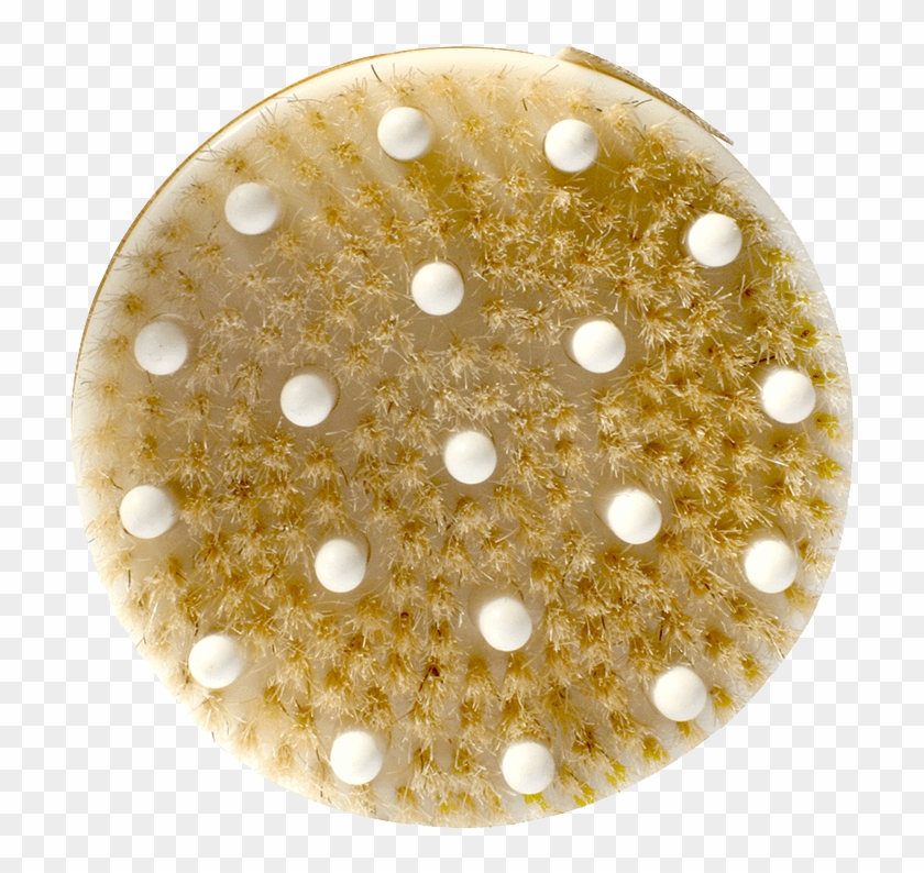 Daily Detox Massage Brush Daily Concepts Luxury Spa - Daily Concepts Detox Brush Clipart #3777446