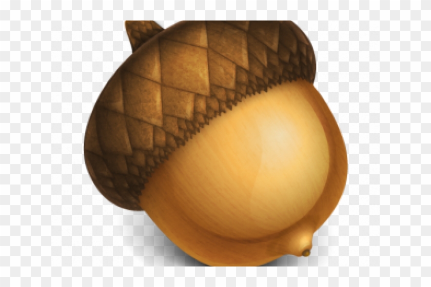 Freeuse Acorn Clipart Free - Acorn Icon - Png Download #3777496