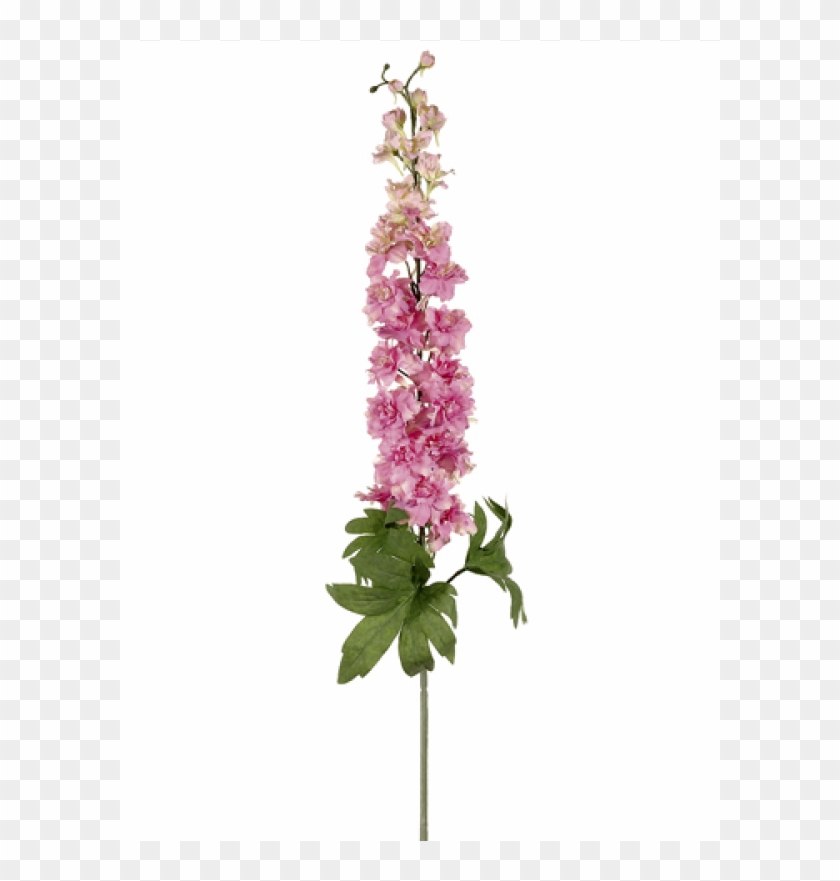 40" Delphinium Spray With 26 Flower And 6 Buds Pink - Delphinium Pink Png Clipart #3778636
