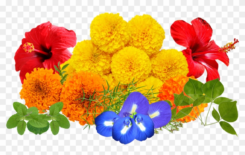 Flowers For Puja Png Clipart #3778784