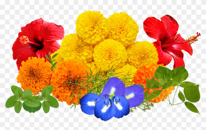 flowers for puja png clipart 3778784 pikpng flowers for puja png clipart 3778784