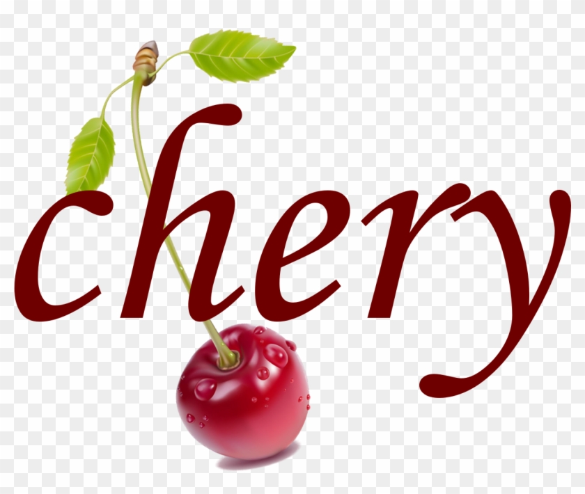 Biblioteca Fametro Clipart