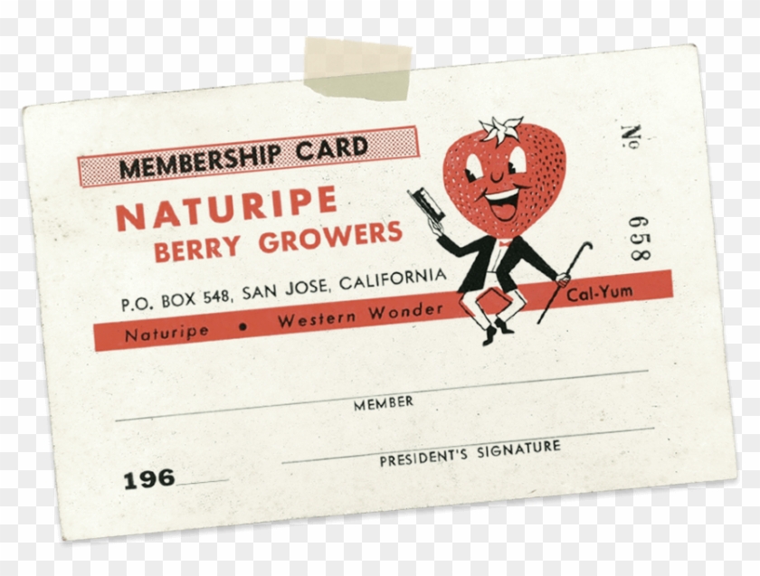 1930 - Bulletin De Vote Clipart #3779931