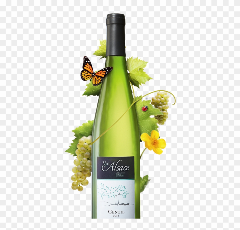 <p>gentil D'alsace - Vins D'alsace</p> - Domaine De Canton Clipart