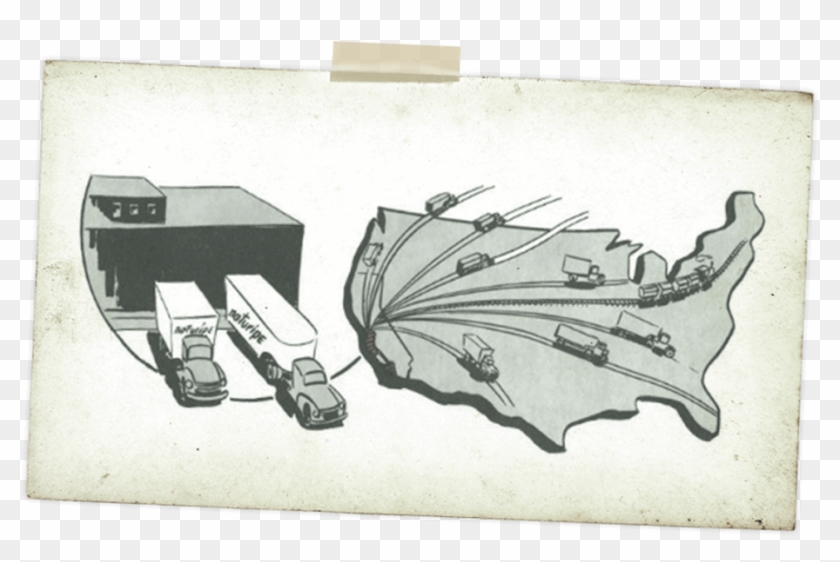 This Was 95% Of All Berry Growers On The Central Coast, - Sketch Clipart #3780169