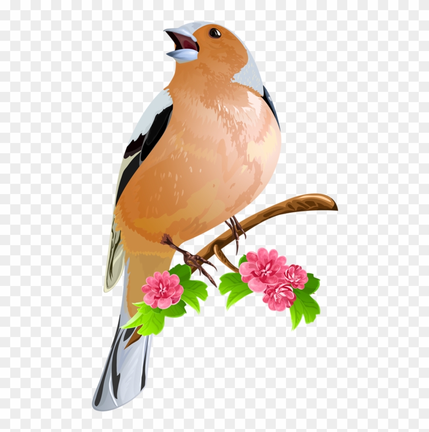 Bird On The Flowering Branch Icon Font, Print Fonts, - ภาพ วาด นก สวย ๆ Clipart #3780425