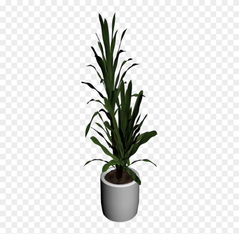 Yucca Palm Tree - Palm Tree Png In Room Clipart #3780755