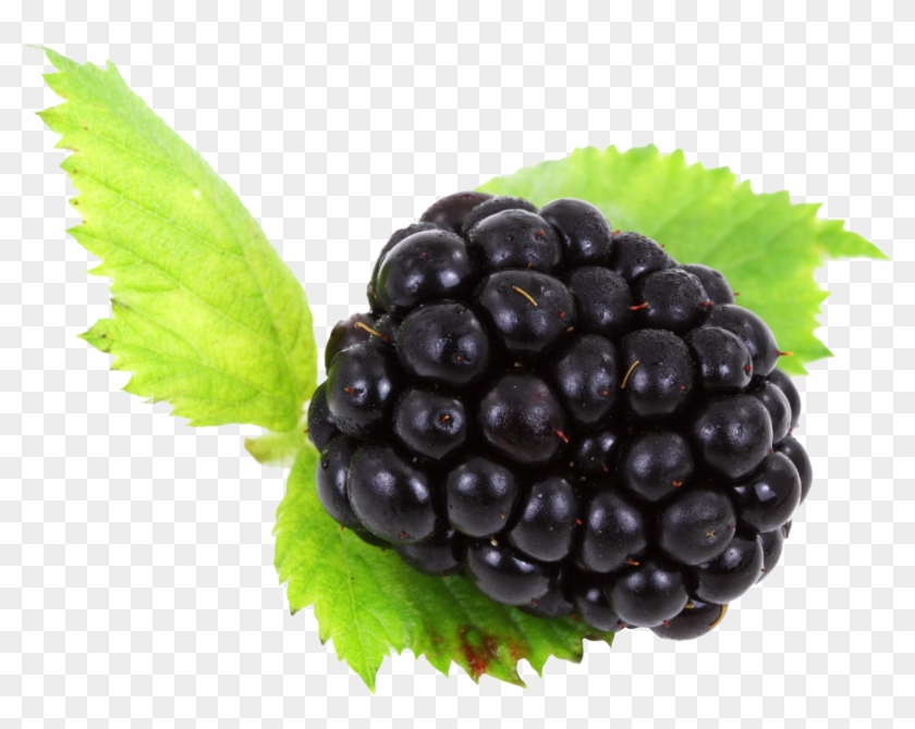 Blackberry Png - Portable Network Graphics Clipart #3780813