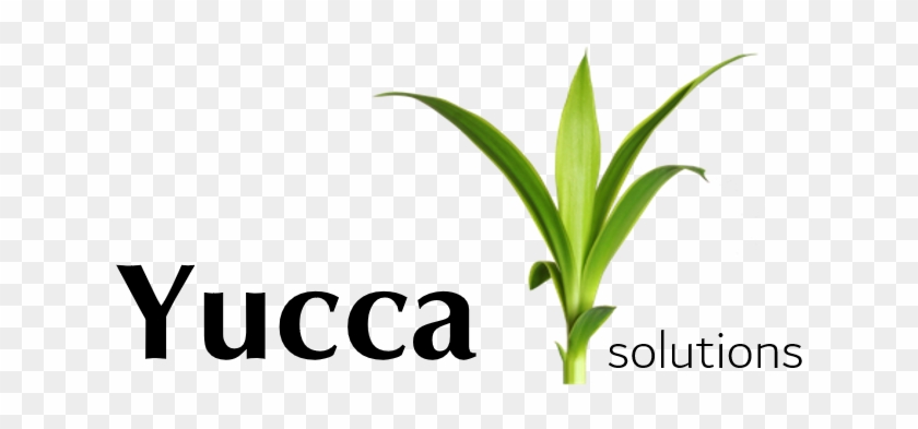 Img - Grass Clipart #3780937