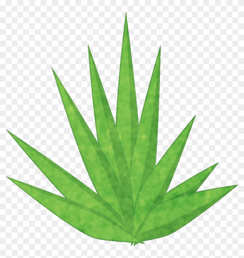 Plants Were A Main Thing In Asset Creation Ranging - Graphics Clipart #3782271
