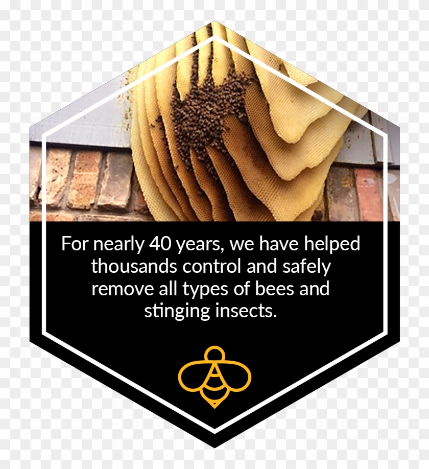 Live Bee Removal Specialists Throughout North Texas - Emblem Clipart