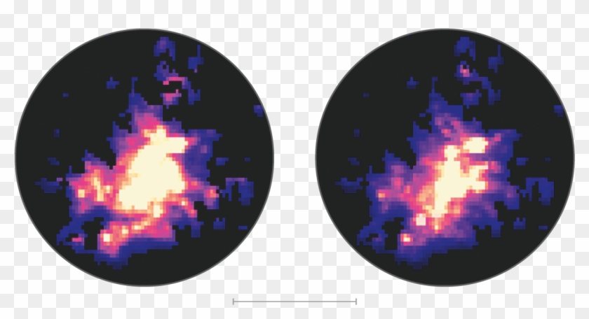 Circle Clipart #3782866