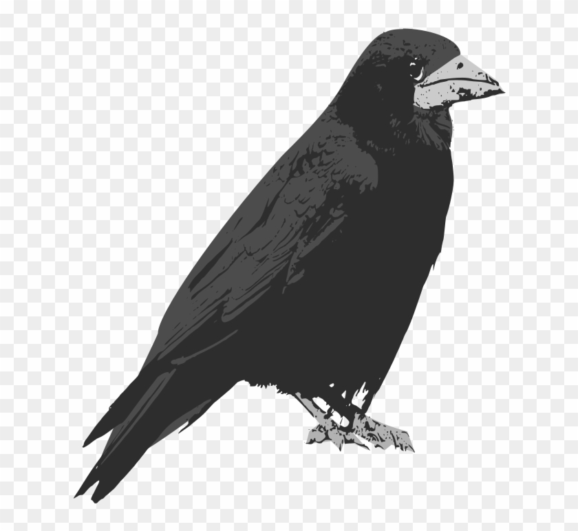 Svg Black And White Download Bird Common Raven Clip - Raven Transparent Background Black - Png Download