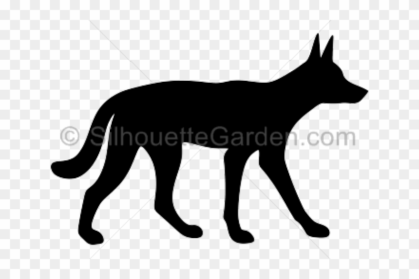 Dingo Silhouette Cliparts - Dingo Silhouette Png Transparent Png