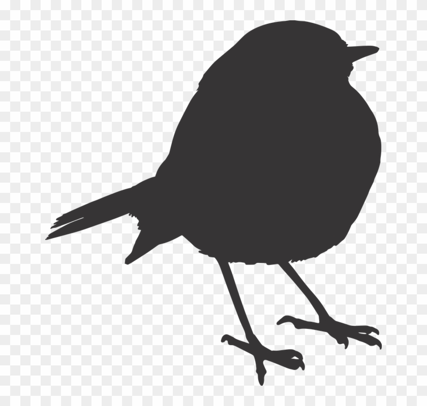 Useful Links - - Robin Bird Png Clipart #3783707