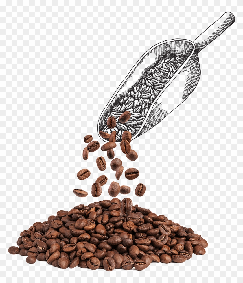 Scoop - Coffee Clipart