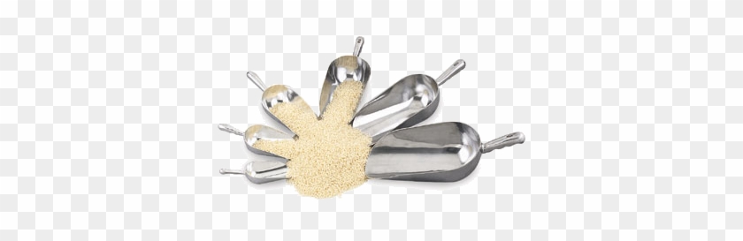 Spider Clipart #3784630