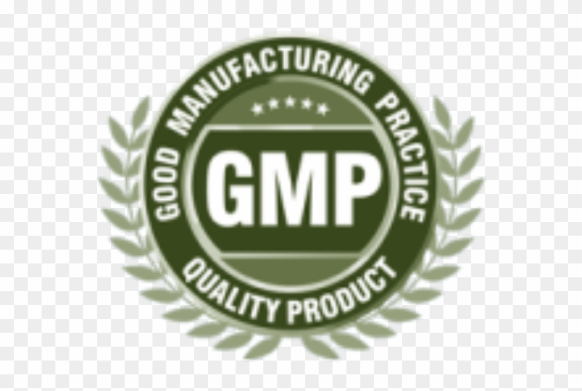 Free Download Good Manufacturing Practice Quality Certification - Current Good Manufacturing Practices Logo Clipart #3786050