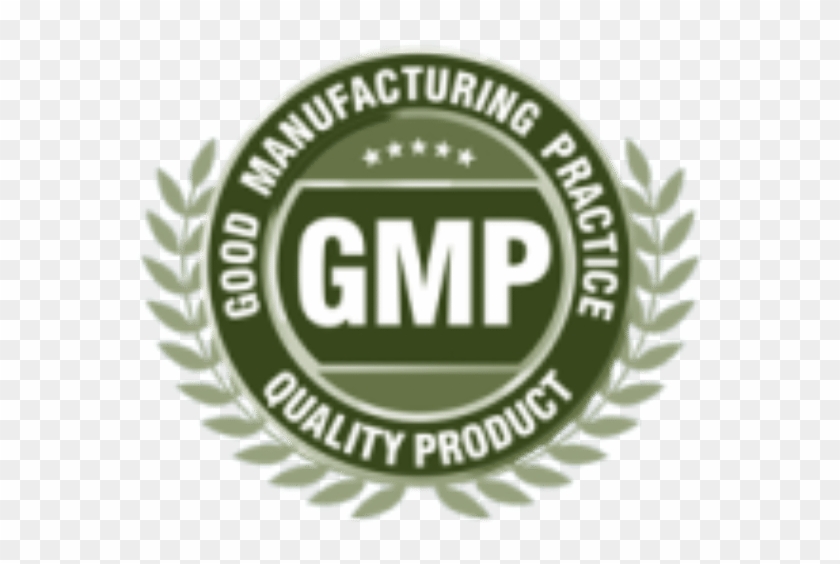 Free Download Good Manufacturing Practice Quality Certification - Current Good Manufacturing Practices Logo Clipart