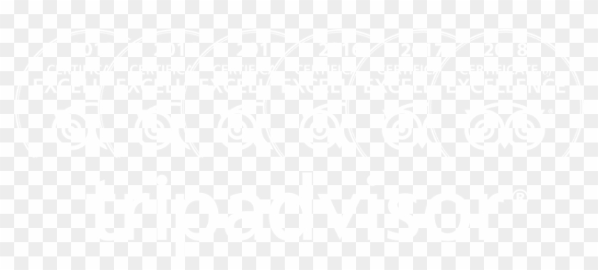 Awards Cardamomo - Graphic Design Clipart #3789132