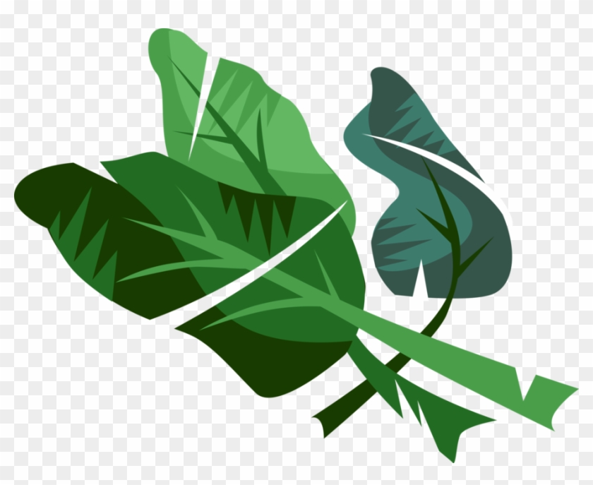 Vector Illustration Of Edible Vegetable Leaf Plant Clipart #3791497