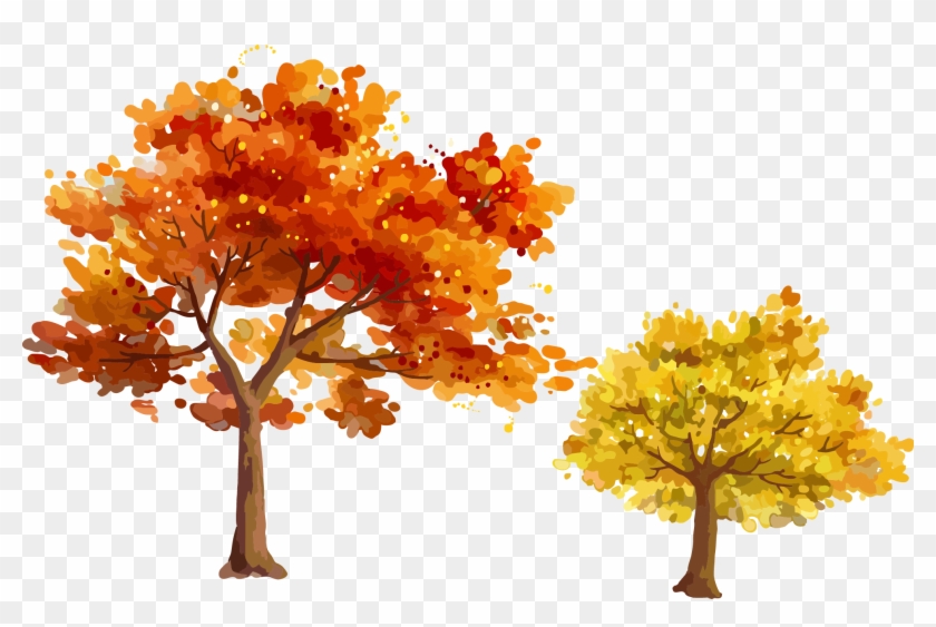 Autumn, Tree, Leaf, Plant Png Image With Transparent - Autumn Trees Illustration Png Clipart #3791518