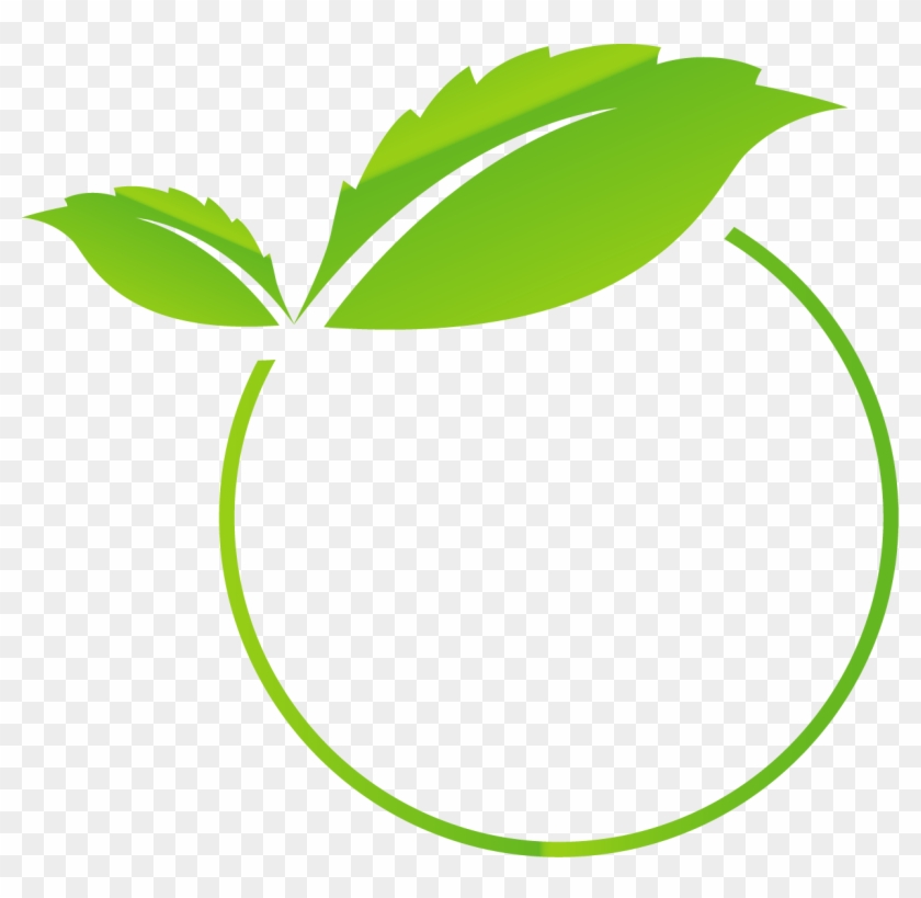 Euclidean Vector Green - Vector Green Leaf Png Clipart #3791768
