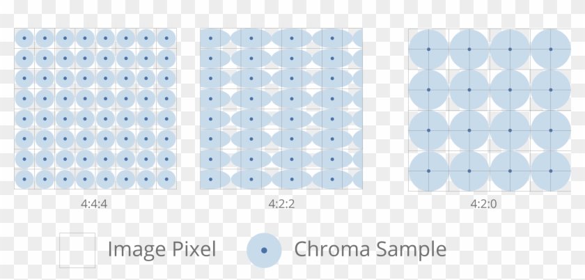 Most Consumer Cameras, Such As Dslrs And Mirrorless - Early Coins Clipart
