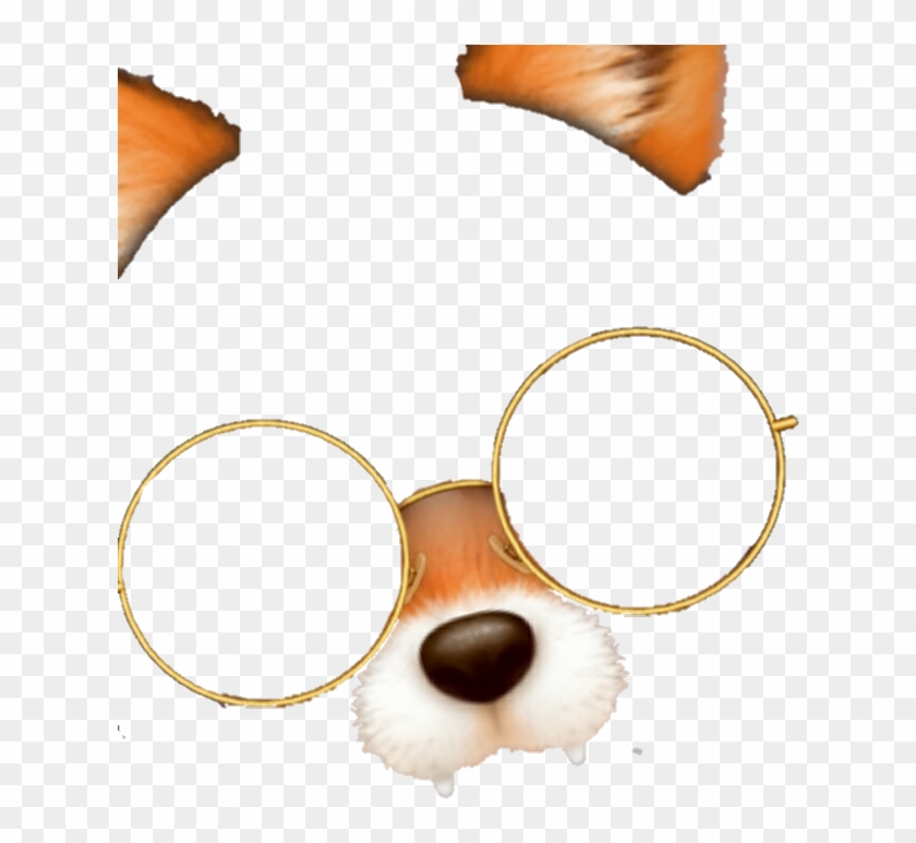 Filtro De Zorro Png , Png Download - Filtro De Zorro Png Clipart #3794934