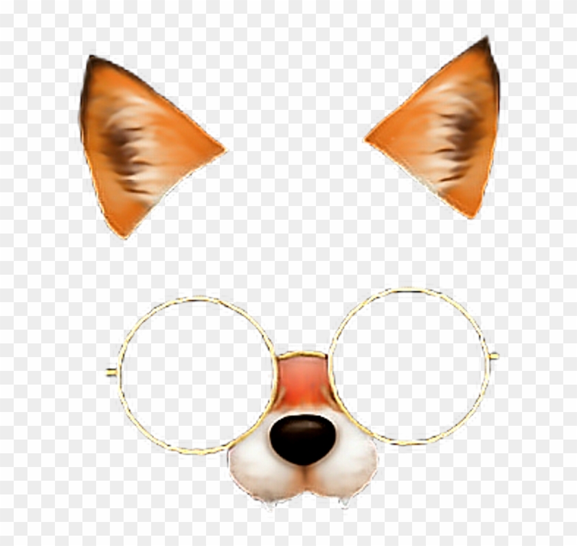 Fox Face 😍🤤 Fox Glasses Stile 💕💫 Freetoedit - Filtro De Zorro Snapchat Png Clipart #3795133