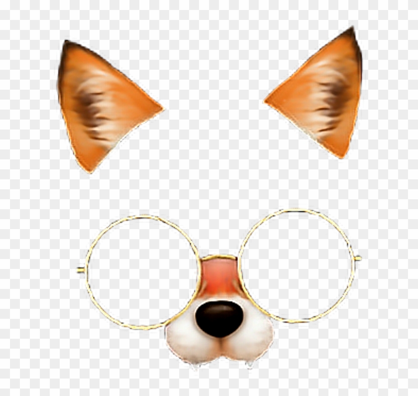 Fox Face 😍🤤 Fox Glasses Stile 💕💫 Freetoedit - Filtro De Zorro Snapchat Png Clipart