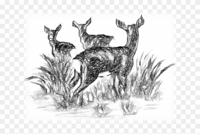 Https - //i0 - Wp - Com/www - Exytos - Com/wp Paisaje - Sketch Clipart