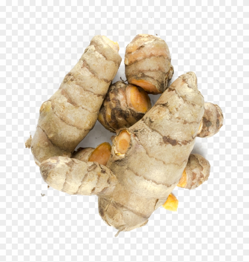 Backup-curcuma@2x - Bombyx Mori Clipart #3797016