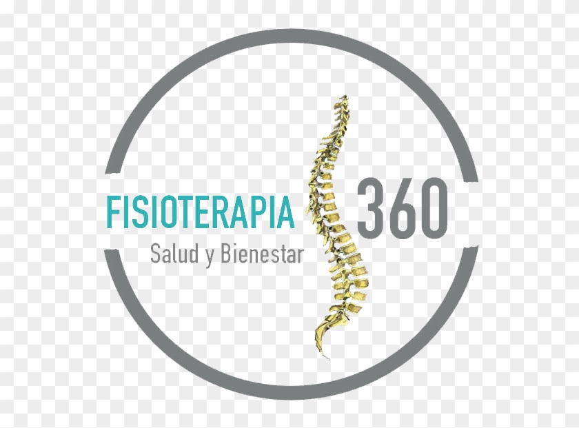 Thumb Image - Anatomia Clipart #3797043