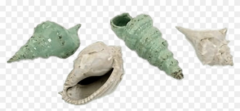 Moodboard Niche Png Polyvore Tumblr Aesthetic Filler - Coffee Table Clipart