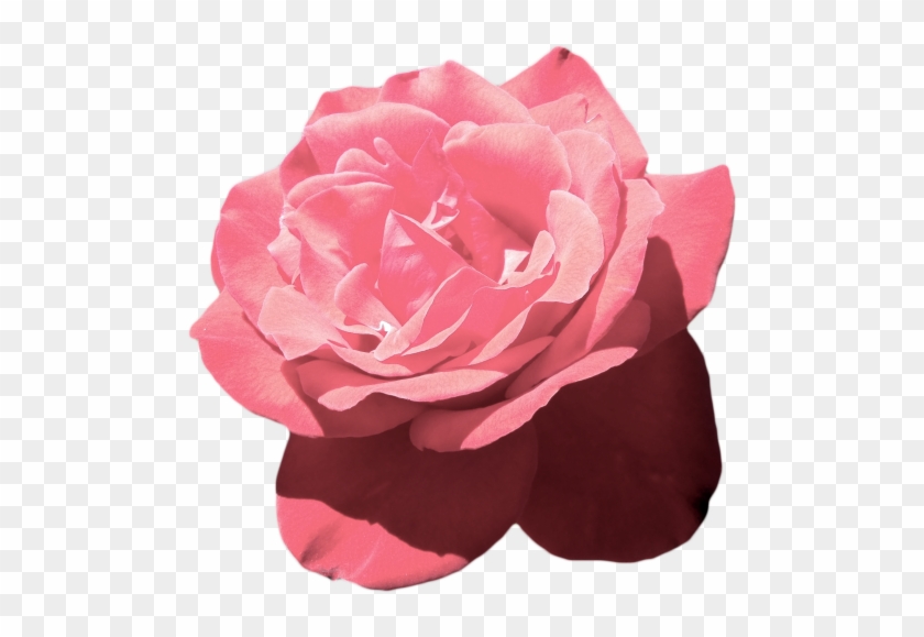 Aesthetic Tumblr Flower Pink Vaporwave - Aesthetic Pink Flower Png Clipart