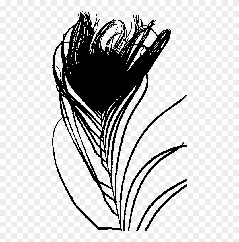 Input Detailed Peacock Feather Silhouette Clipart