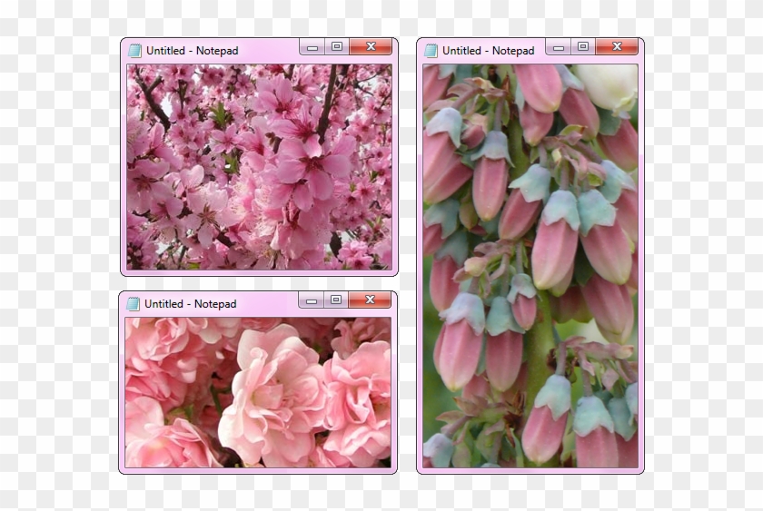 87 Images About Png Tumblr On We Heart It - Flower Clipart