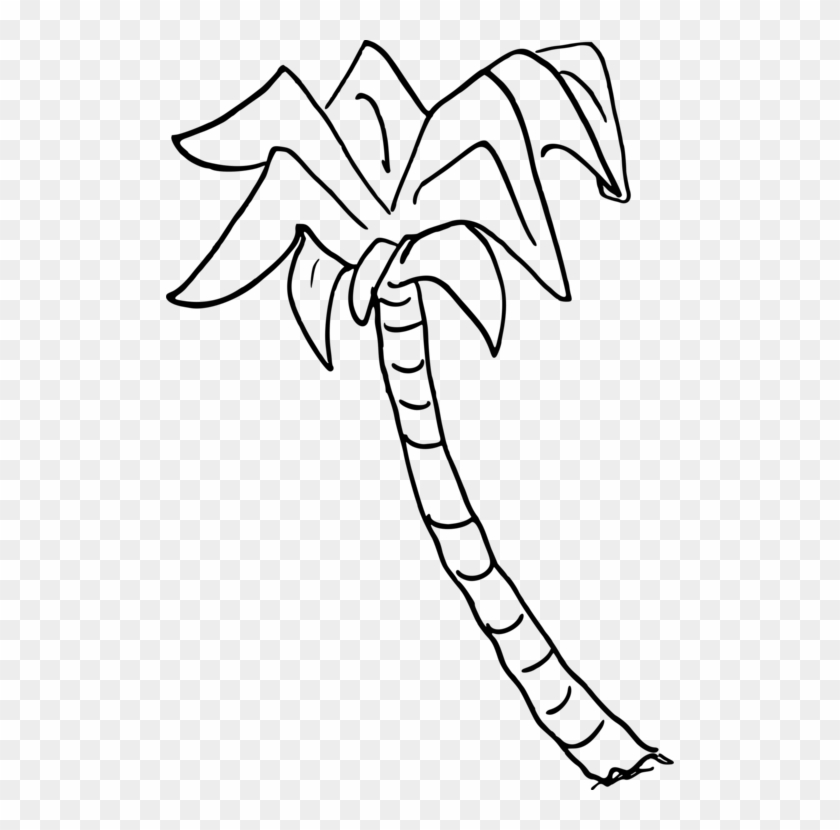 Sabal Palm Palm Trees Drawing Coloring Book Computer - Draw A Sabal Palm Tree Clipart #3798896