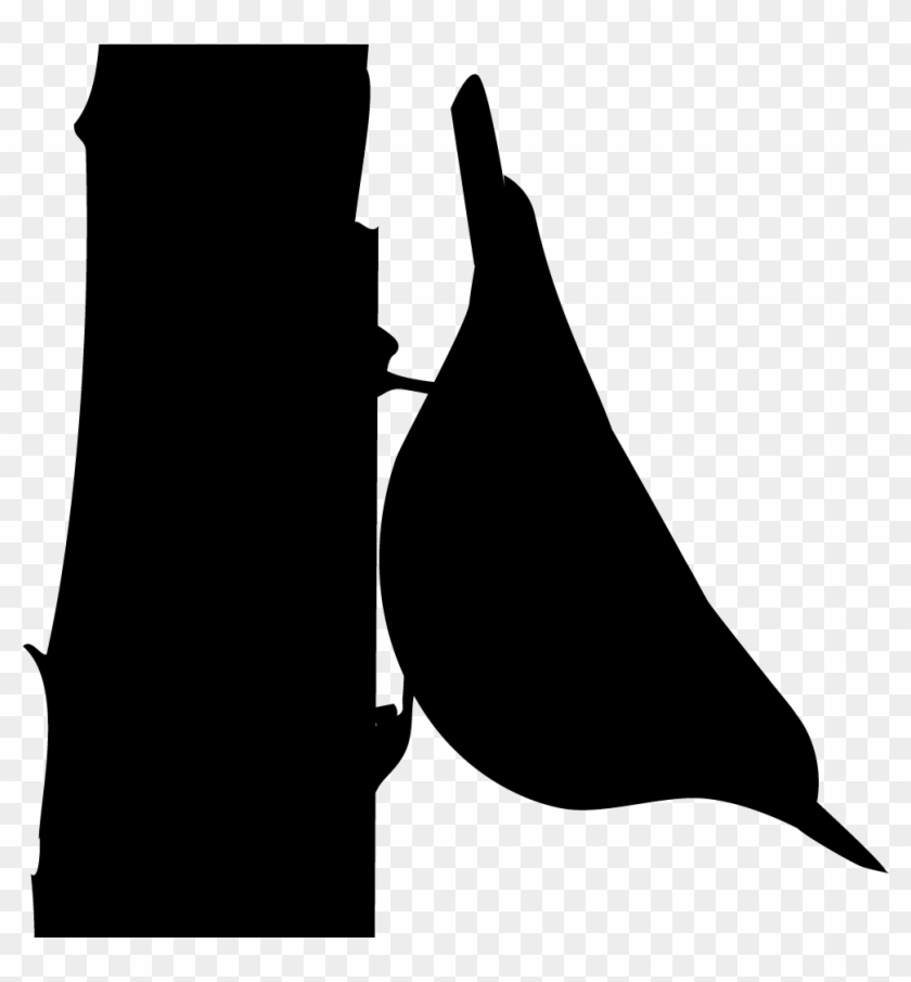 White-breasted Nuthatch Clipart #3799327