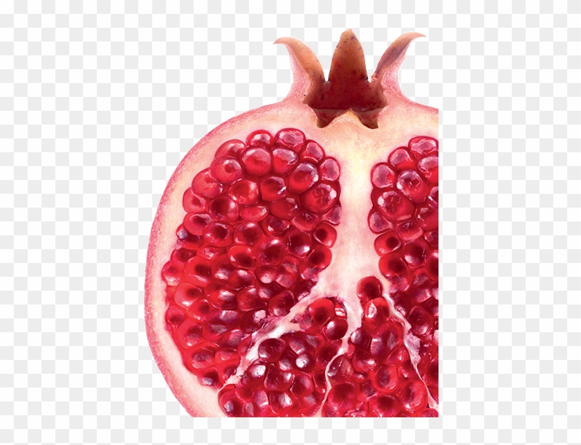 Colour Enhancing - Lingonberry Clipart