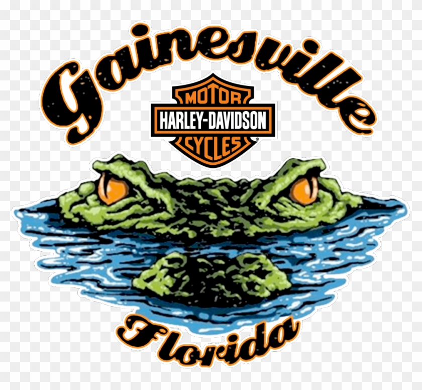 Welcome To Gainesville Harley-davidson® - Gainesville Harley Davidson Clipart #380510