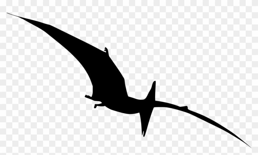 Download Png - Silhouette Clipart #382092